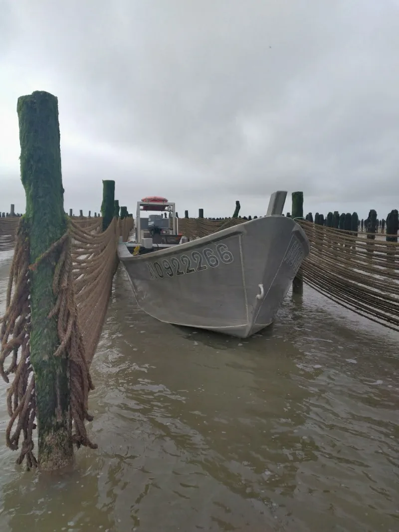 Cordes en coco tendues entre pieux de bouchot, barque de mytiliculteur à marée basse